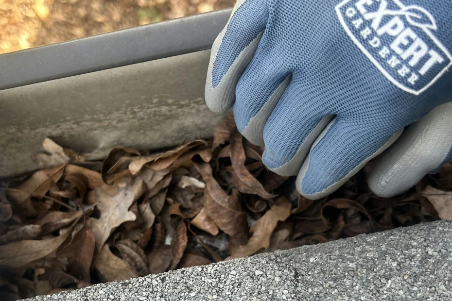 Gutter Cleaning Lake Wylie