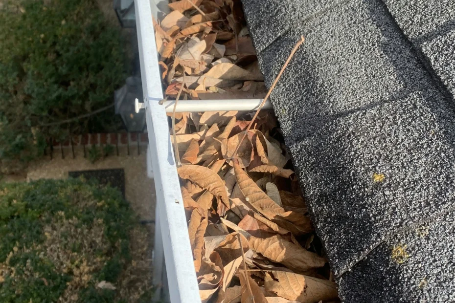 Gutter Cleaning Lake Wylie