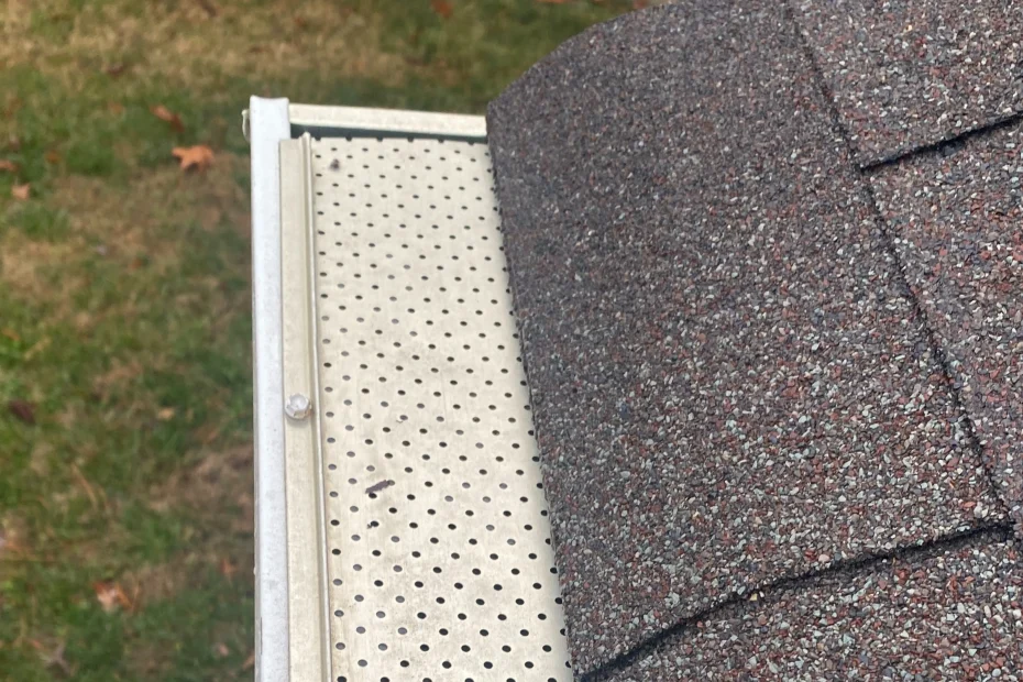 Gutter Cleaning Lake Wylie