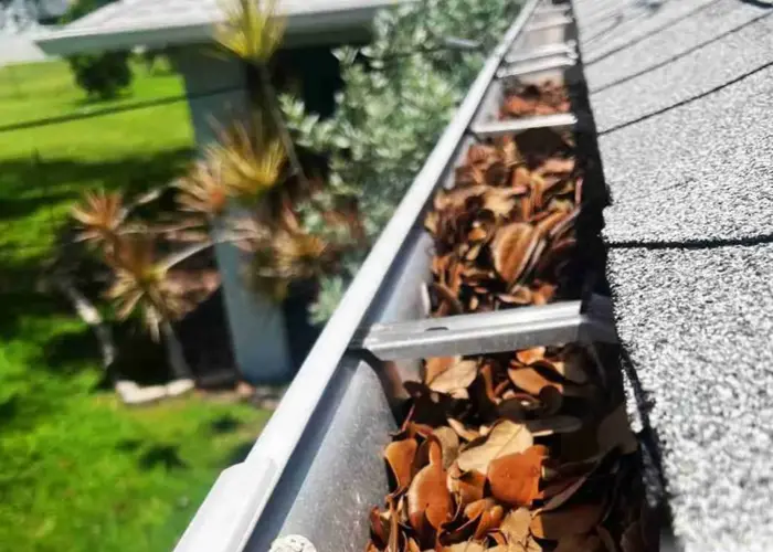 Gutter Cleaning Lake Wylie home page